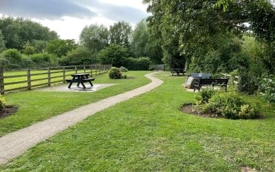 Clean Up at local picnic area